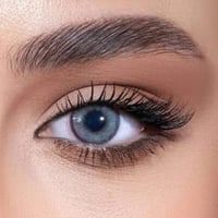 دوللي عدسات لاصقة شهرية رمادي نعناع فاتح