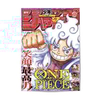 Single Poster: One Piece 6