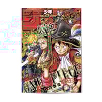 Single Poster: One Piece 7