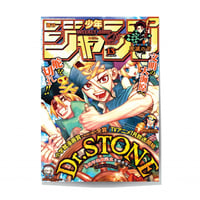 Dr. Stone Bundle