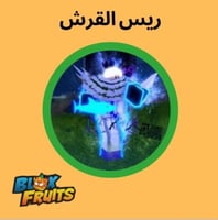 حساب بلوكس فروت ريس القرش فل قير | Blox Fruit Skar...