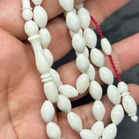 مسباح عظم جمل