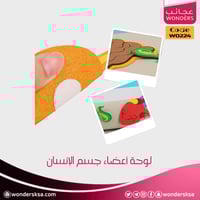 لوحة أعضاء جسم الإنسان