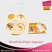 منتسوري دورة الحياة (النحلة)