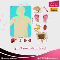 لوحة أعضاء جسم الإنسان