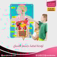 لوحة أعضاء جسم الإنسان