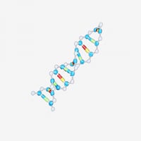 طقم نمذجة شريط الـ DNA