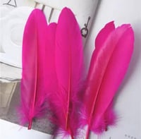 ريشة احمر ناعم درزن(12قطعة)