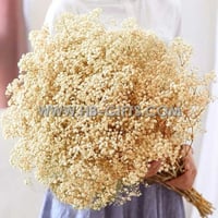 باقة ورد جيبسوفيلا سكري/بيج