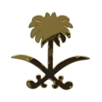 لوقو اكريليك سيفين و نخله (12 قطعة ) بلون ذهبي