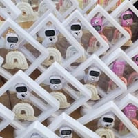 برواز شفاف (12 قطعة) يحتوي ميدالية قوس قزح و سبحة...