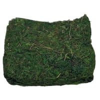 عشب أخضر للزينه 300 غرام