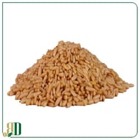 صنوبر باكستاني