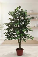 شجرة صناعية شجرة الفيكس 0063 ارتفاع 120سم