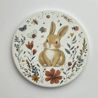 بوكس أرنوب و الربيع : 5 قطع