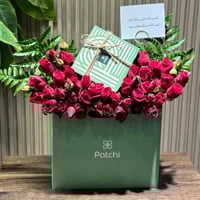 تنسيق حلا باتشي