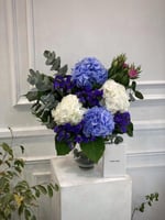 فازه الهايدرنجا