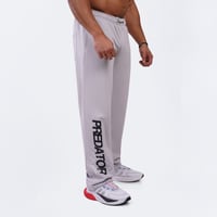 بنطلون بريداتور الأوفر سايز - رمادي