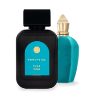 برفيوم كو - بورا فيدا برفيوم مركز 100 مل