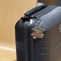 ميدالية - حائل