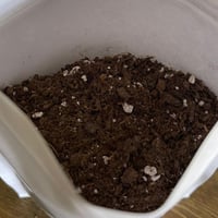 تربة نباتات داخلية