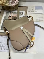 شنطة سادل ديور Dior Saddle