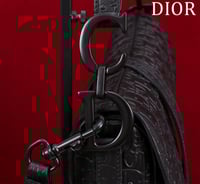 شنطة سادل ديور Dior Saddle