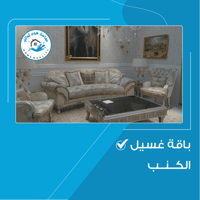 باقة غسيل الكنب