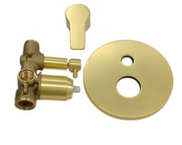 خلاط دش ذهبي إيطالي بتصميم دائري فاخر 1001