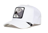 قبعة جورين بروس بلاتينيوم وورد