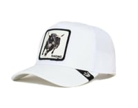 قبعة غورين بروس بلاتينيوم ريج