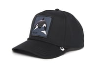 قبعة سناباك الحوت القاتل 100