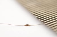 مشط ستانلس ستيل مقاوم للصداء لازالة القمل والصبئان...