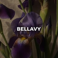 Bellavy