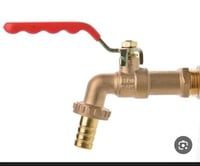 بزبوز ايطالي