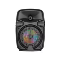 مكبر صوت ZQS1328S