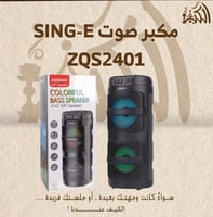 مكبر صوت SING-E ZQS2401
