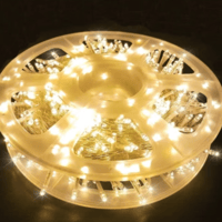 عقد إضاءة للزينة 10 متر