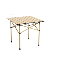 طاولة تخييم قابلة للطي