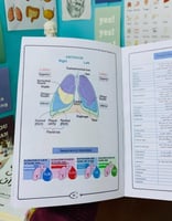 مصطلحات الطبيه (الأصفر