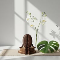 مجسم حبة بن