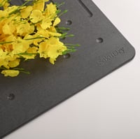 الدعاسة الأحفورية - قطرات (غامق)