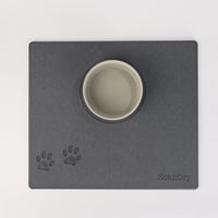 قاعدة أوعية الحيوانات - مفرد