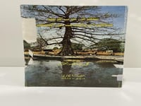 ‏شهر في غرب إفريقية مشاهدات وأحاديث عن المسلمين ‏م...