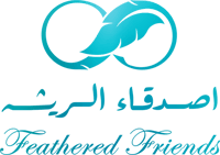 متجر أصدقاء الريشة