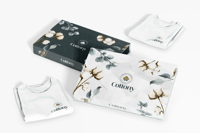 دليل الهوية الإحترافي