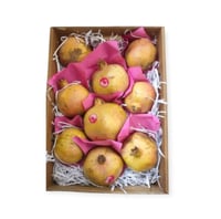 رمان يمني كرتون صغير