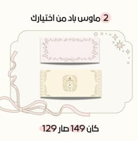 بكج 2 ماوس باد