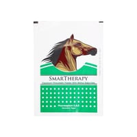 سمارت ثيرابي لصقات إزالة آلام العظام - أخضر-SMARTH...
