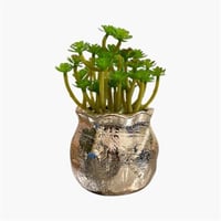 شتله صناعي مع المركن